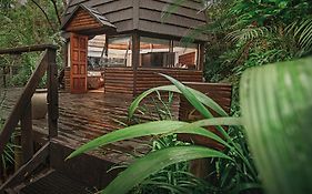 Serenity Mountain And Forest Lodge